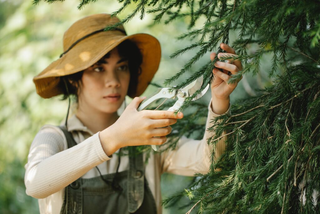 Tree Maintenance & Eavestrough 3